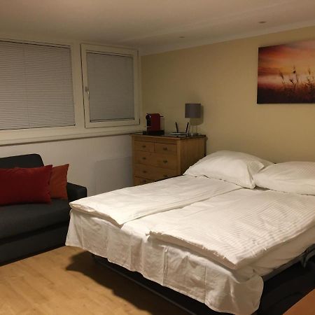 Appartamento Cosy Flat In The Quiet Area With Own Garden, Free Parking And Direct Public Transport Link To The Centre Vienna Esterno foto