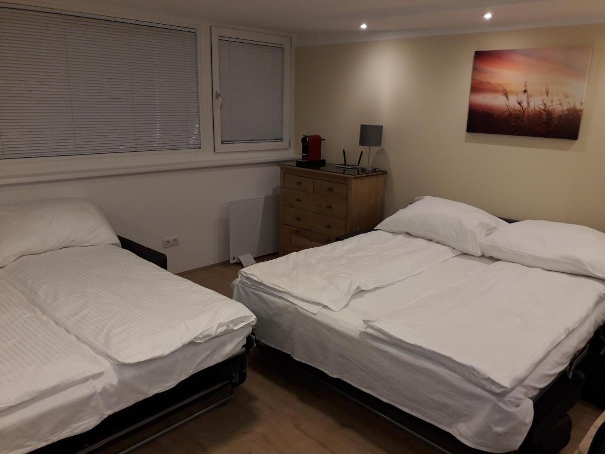 Appartamento Cosy Flat In The Quiet Area With Own Garden, Free Parking And Direct Public Transport Link To The Centre Vienna Esterno foto